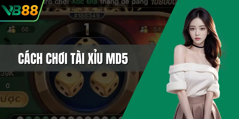 Cách Chơi Tài Xỉu MD5