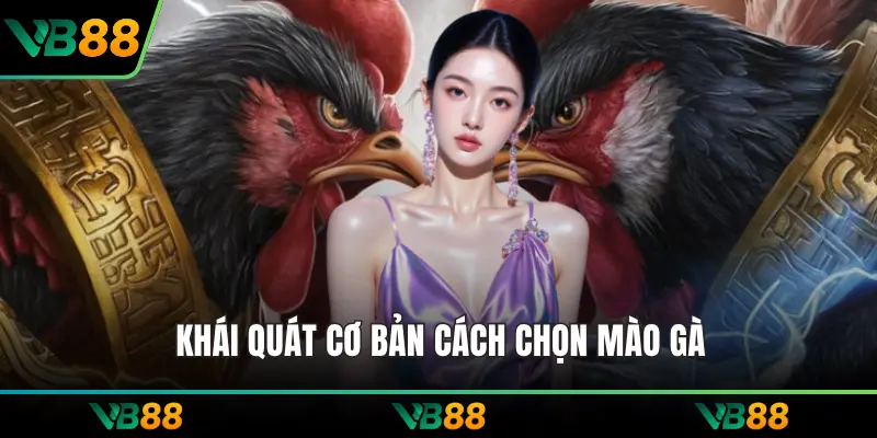 Khái quát cơ bản cách chọn mào gà