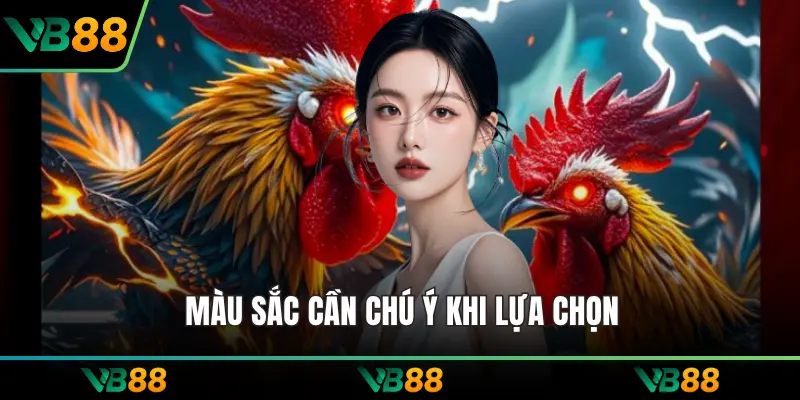  Màu sắc cần chú ý khi lựa chọn