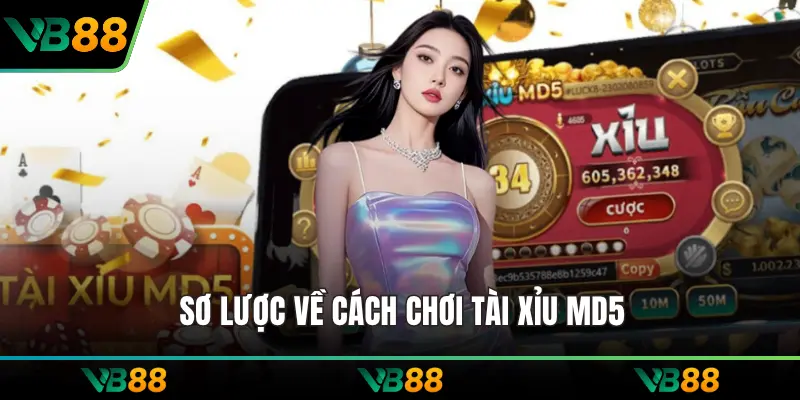 Sơ lược về cách chơi tài xỉu MD5