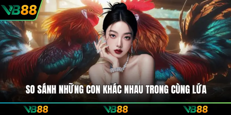 So sánh những con khác nhau trong cùng lứa